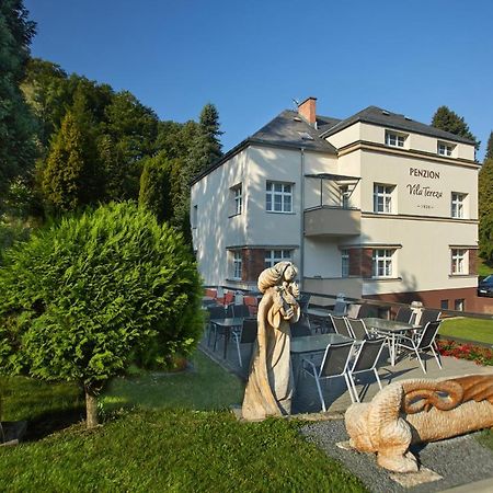 Penzion Vila Tereza Границе Экстерьер фото